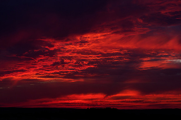 Viroinval juli 2019 Bart Fotografie-003