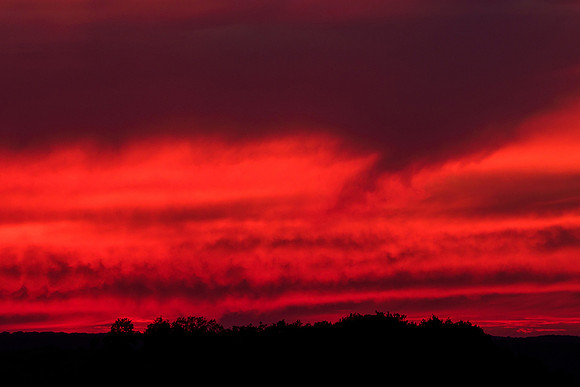 Viroinval juli 2019 Bart Fotografie-005