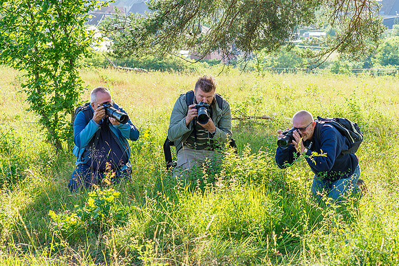 Viroinval juli 2019 Bart Fotografie-120