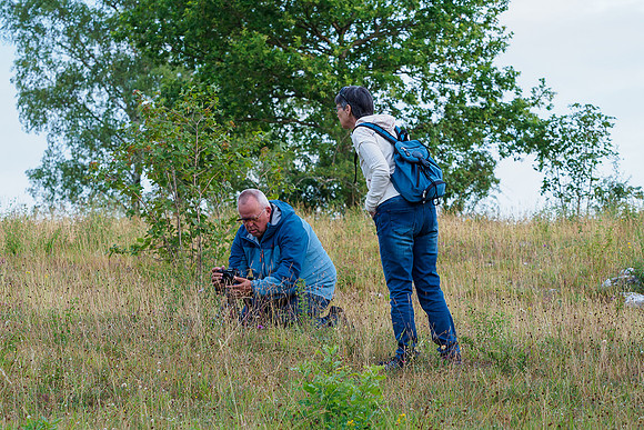 Viroinval juli 2019 Bart Fotografie-121