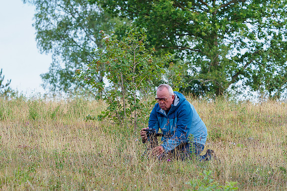 Viroinval juli 2019 Bart Fotografie-122