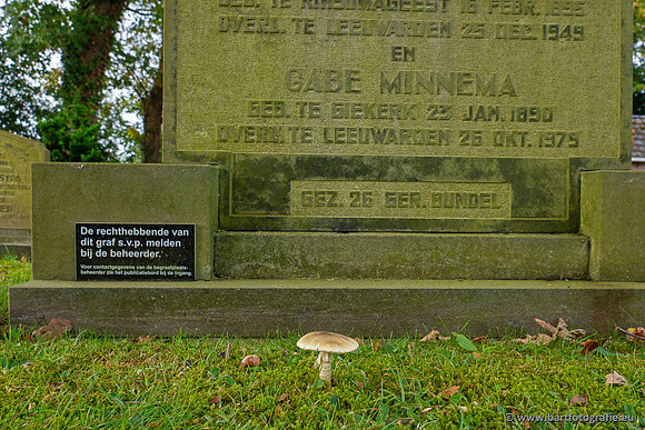 Paddenstoelen 2023-107
