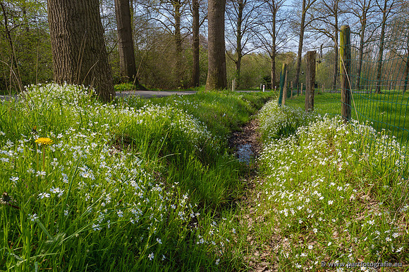 Akker en Weide Bart Fotografie-139