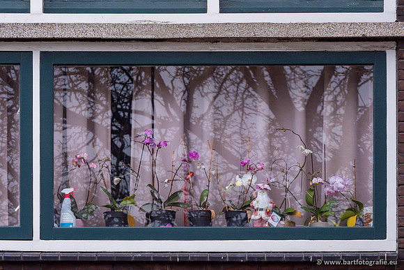 The best of 2023, Bart Fotografie-011