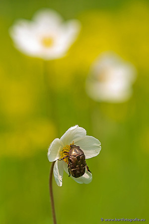 The best of 2023, Bart Fotografie-026