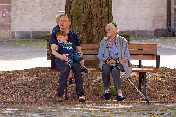 The best of 2023, Bart Fotografie-039