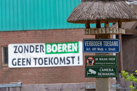 The best of 2023, Bart Fotografie-055