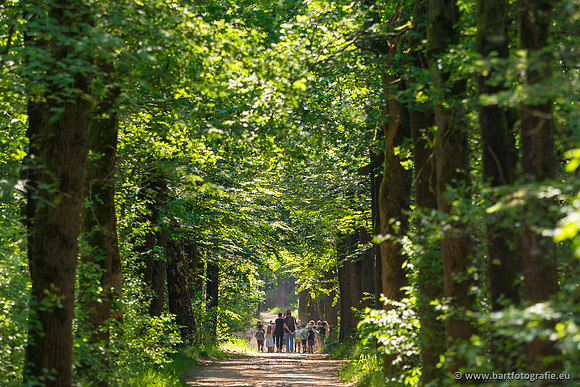 The best of 2023, Bart Fotografie-059