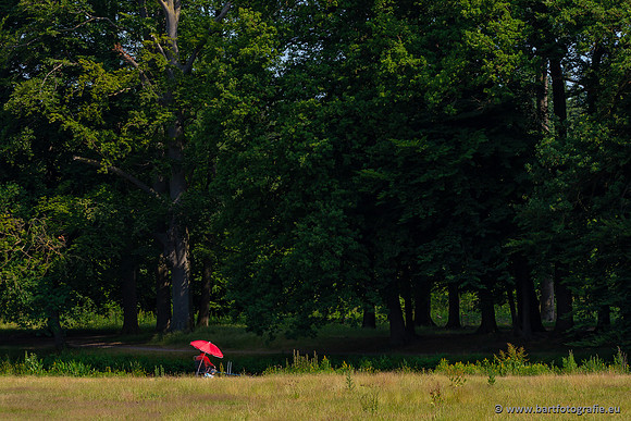 The best of 2023, Bart Fotografie-061