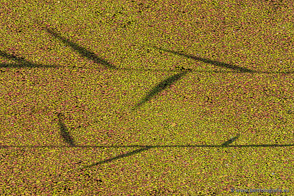 The best of 2023, Bart Fotografie-057