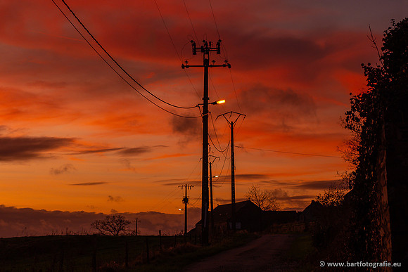 The best of 2023, Bart Fotografie-164