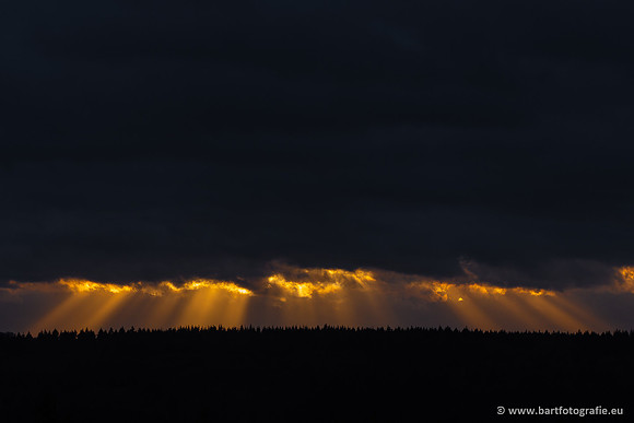 The best of 2023, Bart Fotografie-166