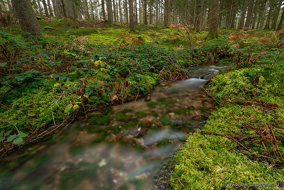 The best of 2023, Bart Fotografie-176
