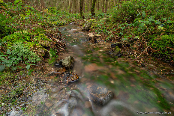The best of 2023, Bart Fotografie-177