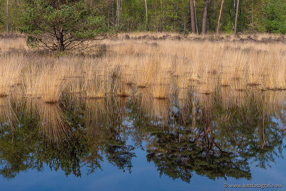The best of 2023, Bart Fotografie-016