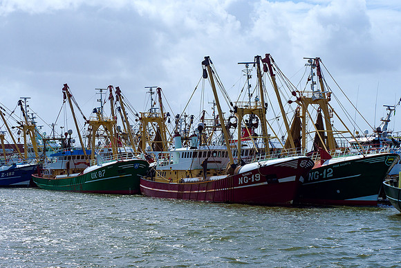 Friesland augustus 2019, Bart Fotografie-002