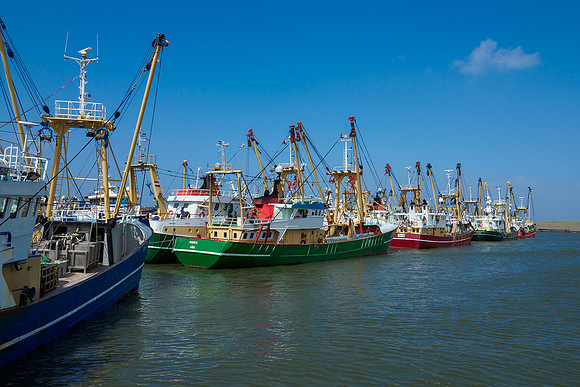 Friesland augustus 2019, Bart Fotografie-003