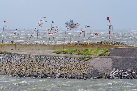 Friesland augustus 2019, Bart Fotografie-022
