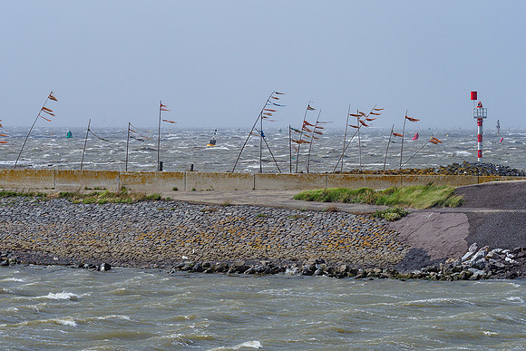 Friesland augustus 2019, Bart Fotografie-023