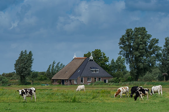 Friesland augustus 2019, Bart Fotografie-036