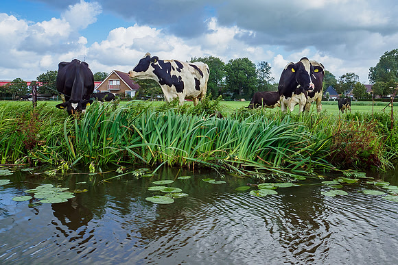 Friesland augustus 2019, Bart Fotografie-037