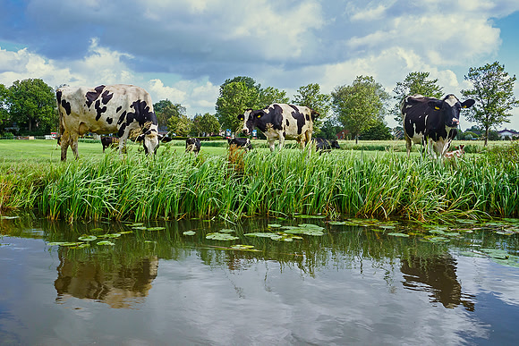 Friesland augustus 2019, Bart Fotografie-038
