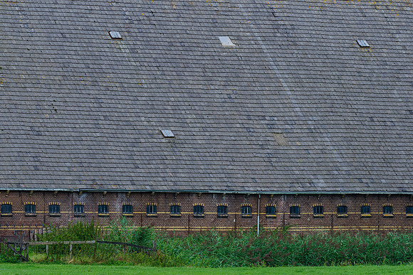 Friesland augustus 2019, Bart Fotografie-042
