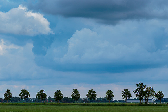 Friesland augustus 2019, Bart Fotografie-044