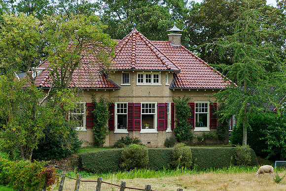 Friesland augustus 2019, Bart Fotografie-050