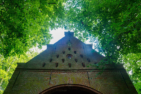 Friesland augustus 2019, Bart Fotografie-061