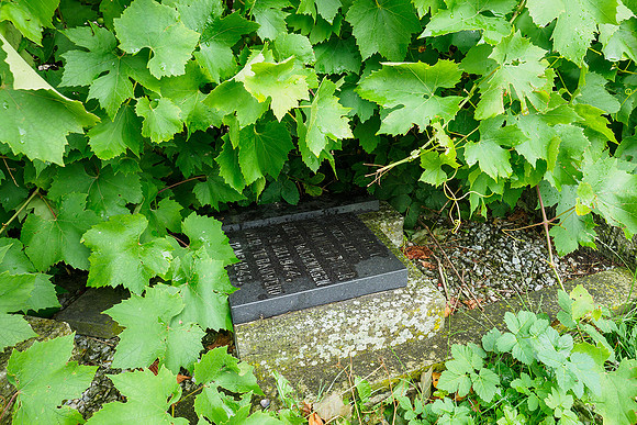 Friesland augustus 2019, Bart Fotografie-065