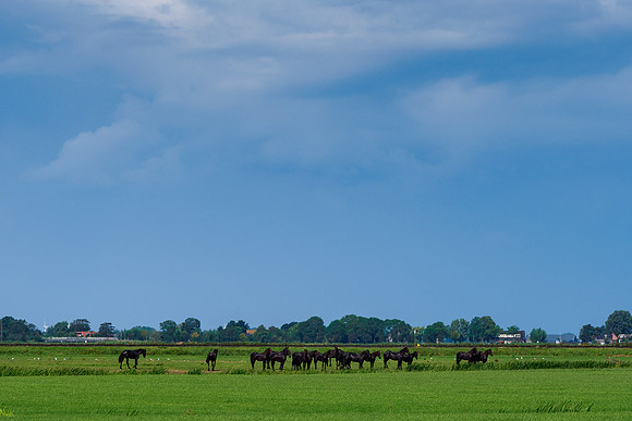 Friesland augustus 2019, Bart Fotografie-074