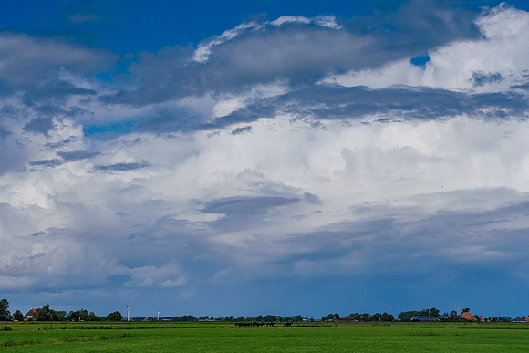 Friesland augustus 2019, Bart Fotografie-075