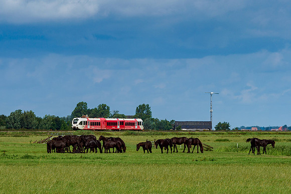 Friesland augustus 2019, Bart Fotografie-078