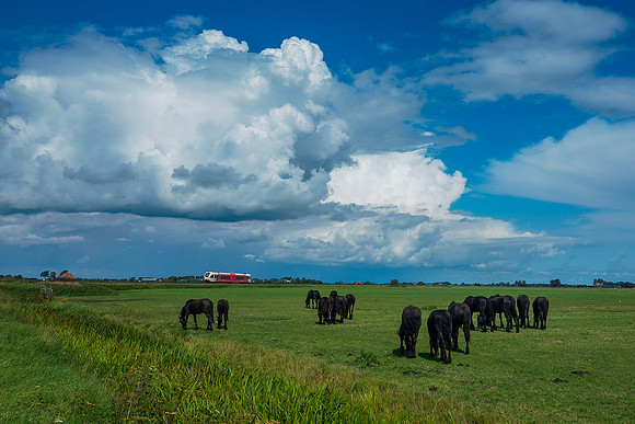 Friesland augustus 2019, Bart Fotografie-080