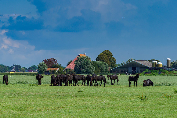 Friesland augustus 2019, Bart Fotografie-081