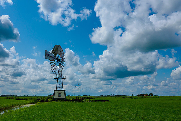Friesland augustus 2019, Bart Fotografie-109
