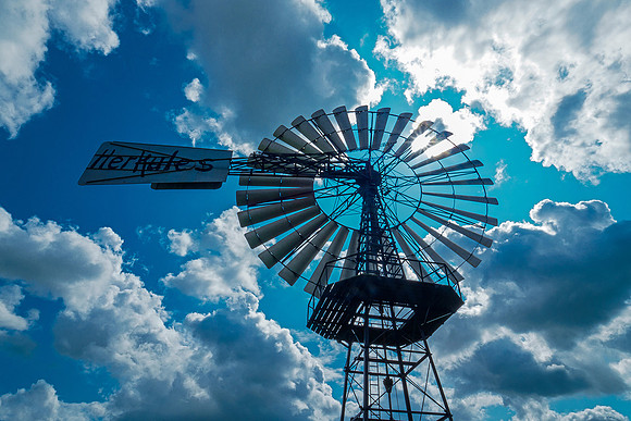 Friesland augustus 2019, Bart Fotografie-112