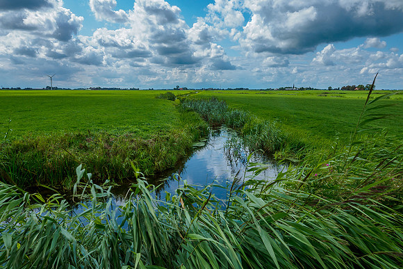 Friesland augustus 2019, Bart Fotografie-116