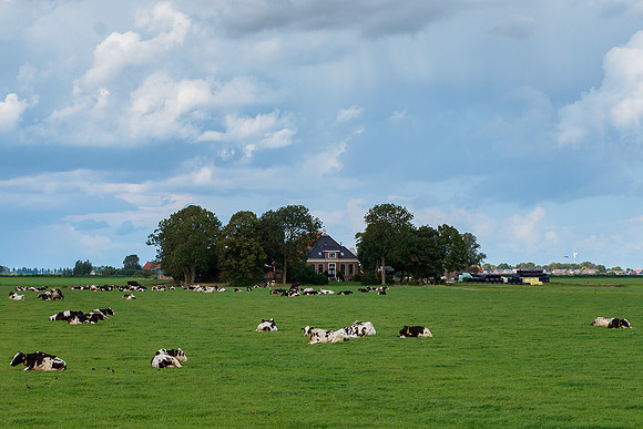 Friesland augustus 2019, Bart Fotografie-124