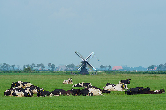 Friesland augustus 2019, Bart Fotografie-138