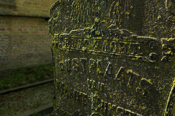 Friesland augustus 2019, Bart Fotografie-146