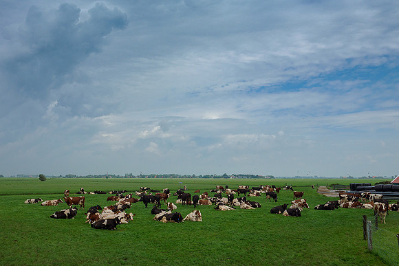 Friesland augustus 2019, Bart Fotografie-152