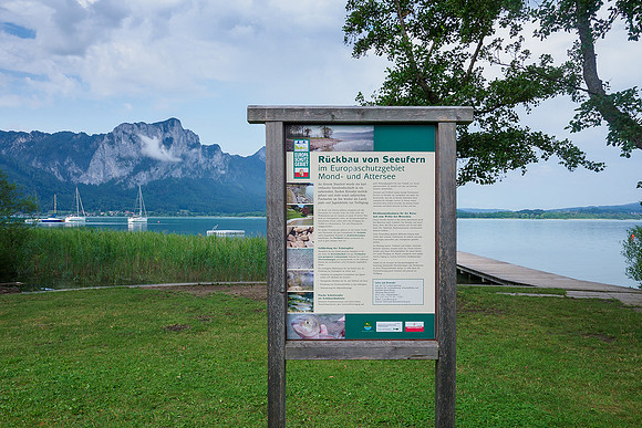 Oostenrijk, augustus 2019, Bart Fotografie-003