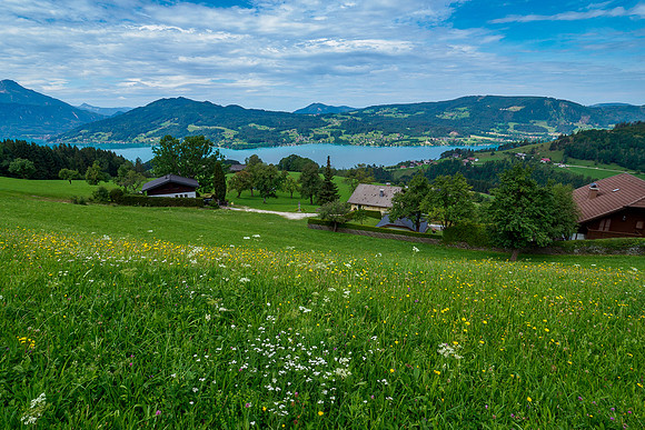 Oostenrijk, augustus 2019, Bart Fotografie-025