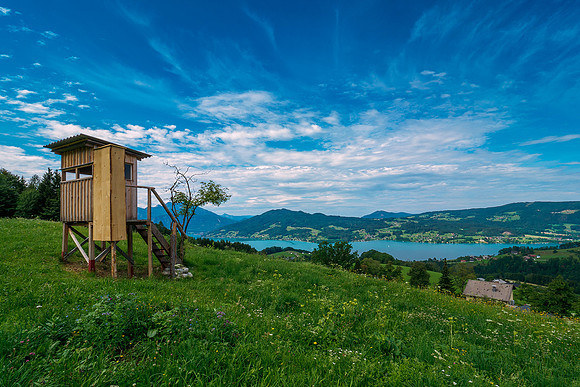 Oostenrijk, augustus 2019, Bart Fotografie-026