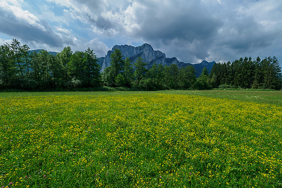 Oostenrijk, augustus 2019, Bart Fotografie-034