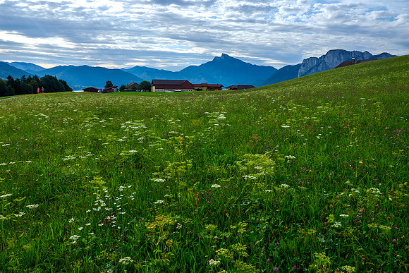 Oostenrijk, augustus 2019, Bart Fotografie-036
