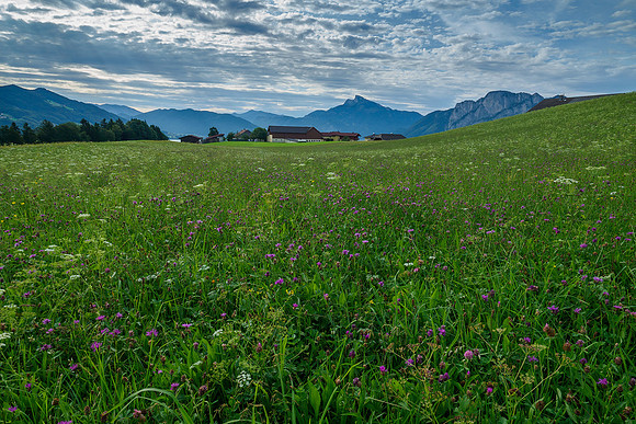 Oostenrijk, augustus 2019, Bart Fotografie-038