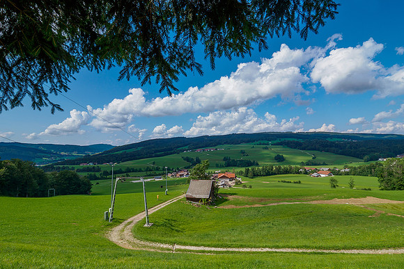 Oostenrijk, augustus 2019, Bart Fotografie-041